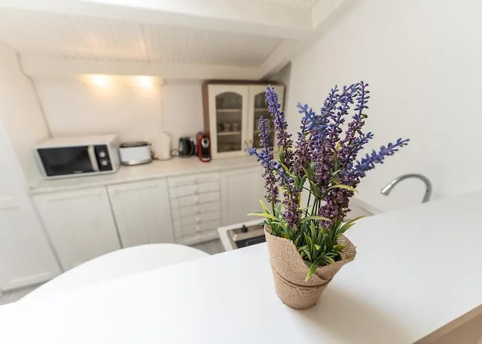 Apt Mia Апартаменты Задар